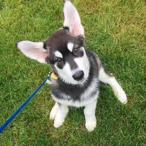 Meet your Posher, Cathy